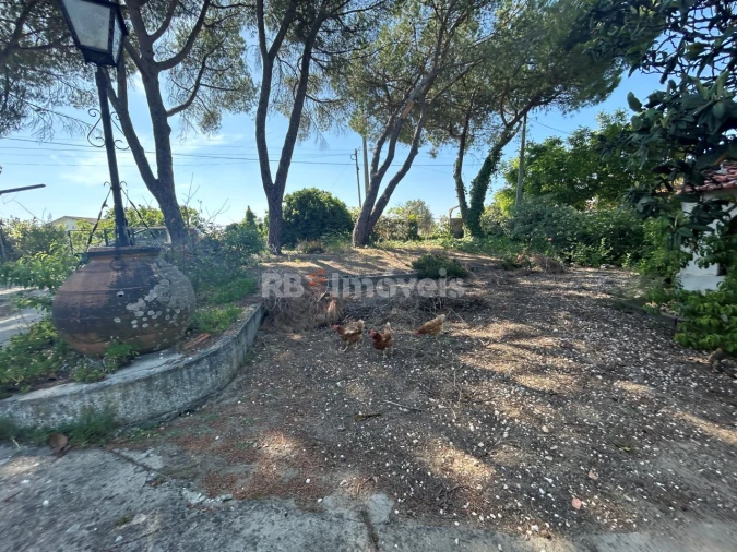 Quinta T2 para Venda em São João Baptista e Santa Maria dos Olivais Foto 10
