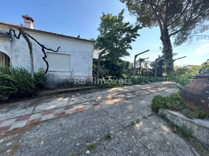 Quinta T2 para Venda em São João Baptista e Santa Maria dos Olivais Foto 11