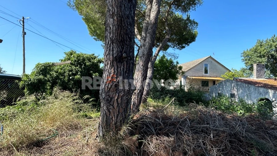 Quinta T2 para Venda em São João Baptista e Santa Maria dos Olivais