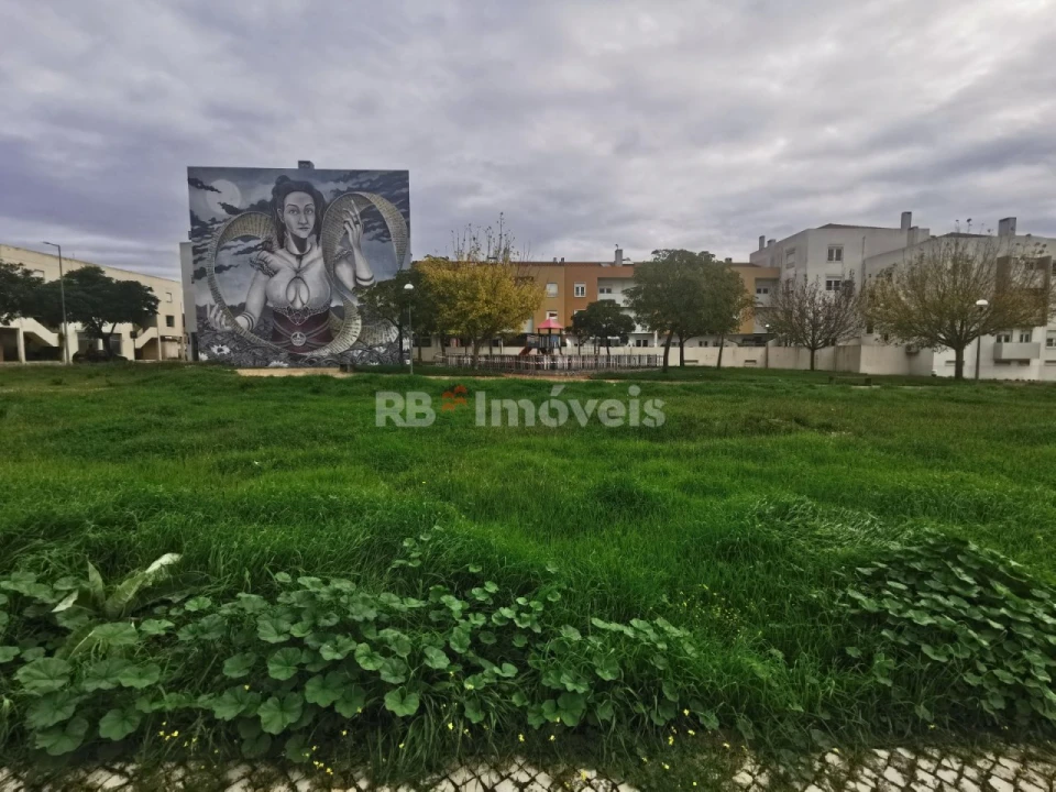 Terreno para Venda em Vila Nova da Barquinha Foto 2