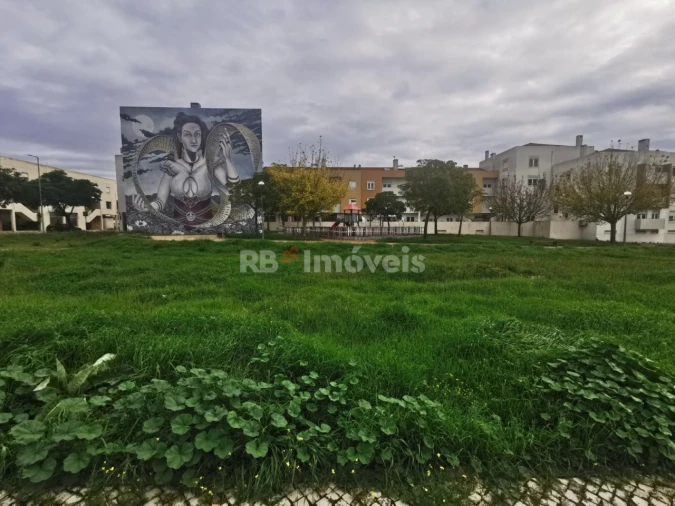 Terreno para Venda em Vila Nova da Barquinha Foto 2