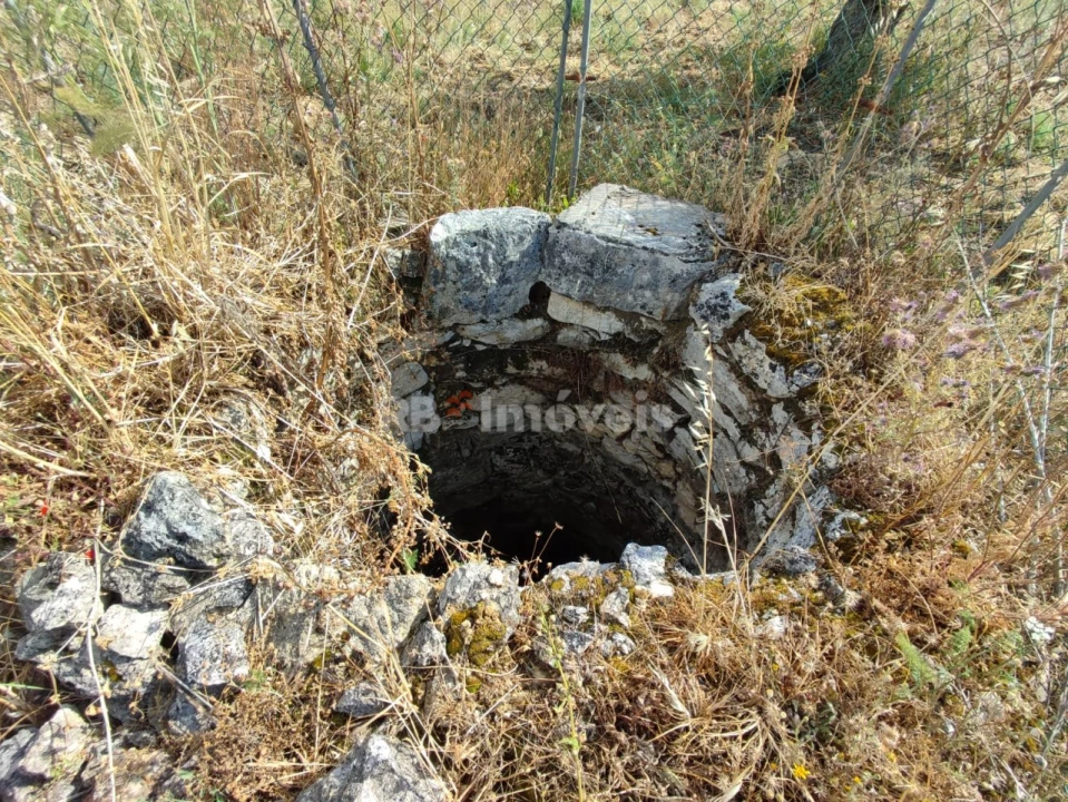 Terreno Agricola ou Rústico para Venda em Olaia e Paço Foto 2