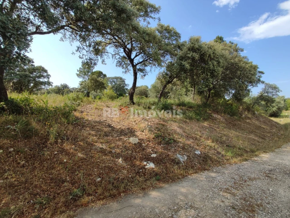 Terreno Agricola ou Rústico para Venda em Olaia e Paço Foto 17