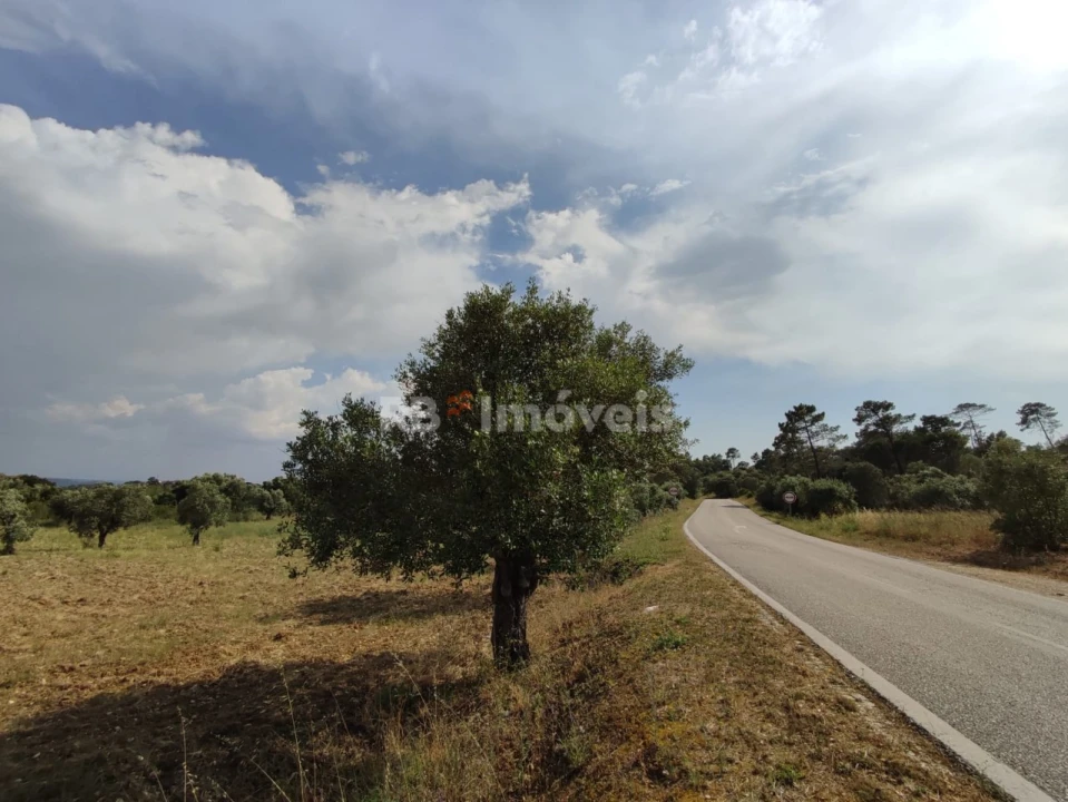 Terreno Agricola ou Rústico para Venda em Olaia e Paço Foto 20