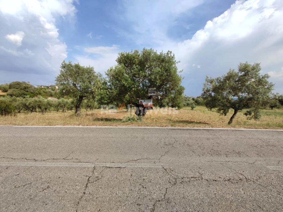 Terreno Agricola ou Rústico para Venda em Olaia e Paço Foto 24