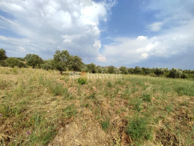 Terreno Agricola ou Rústico para Venda em Olaia e Paço Foto 12