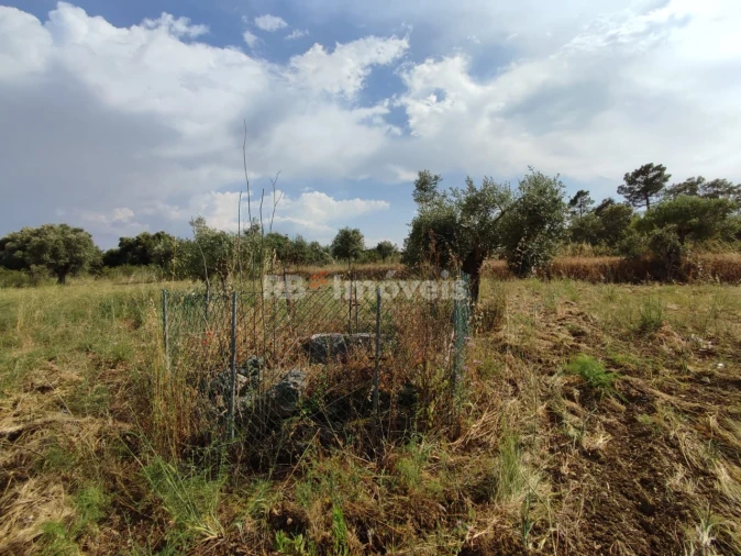 Terreno Agricola ou Rústico para Venda em Olaia e Paço Foto 15