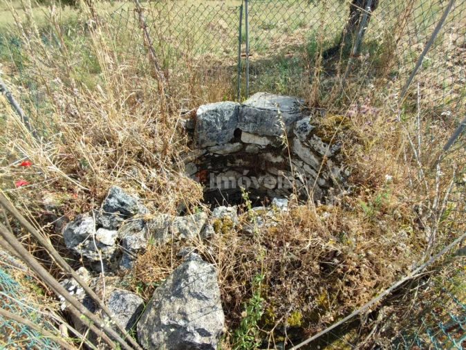Terreno Agricola ou Rústico para Venda em Olaia e Paço