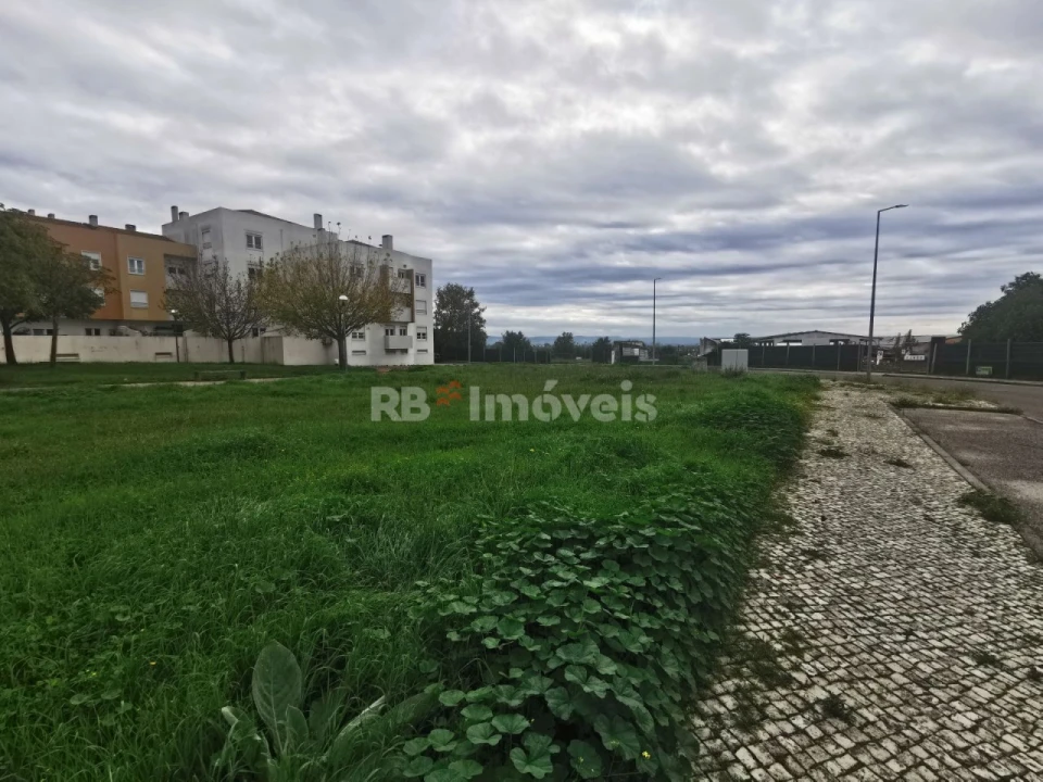 Terreno para Venda em Vila Nova da Barquinha Foto 2