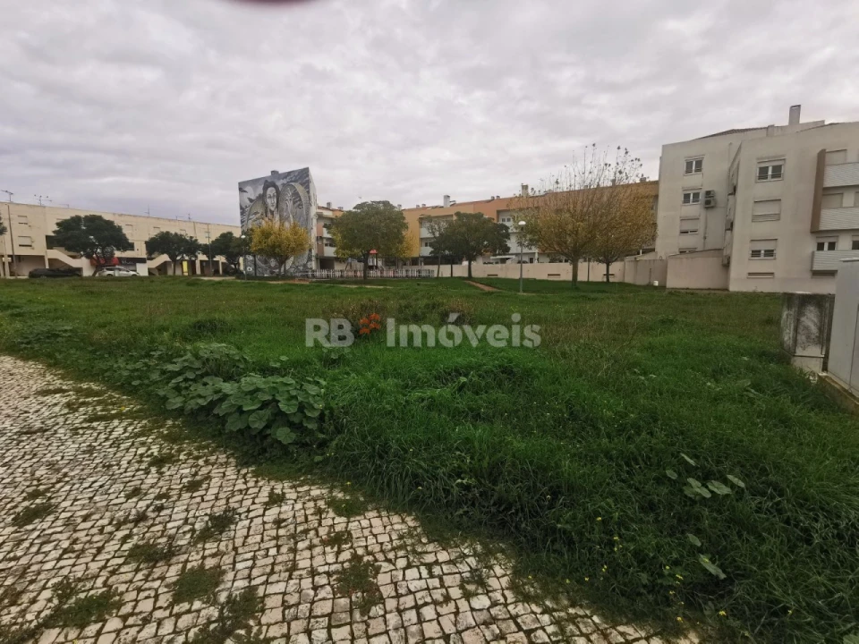 Terreno para Venda em Vila Nova da Barquinha Foto 6