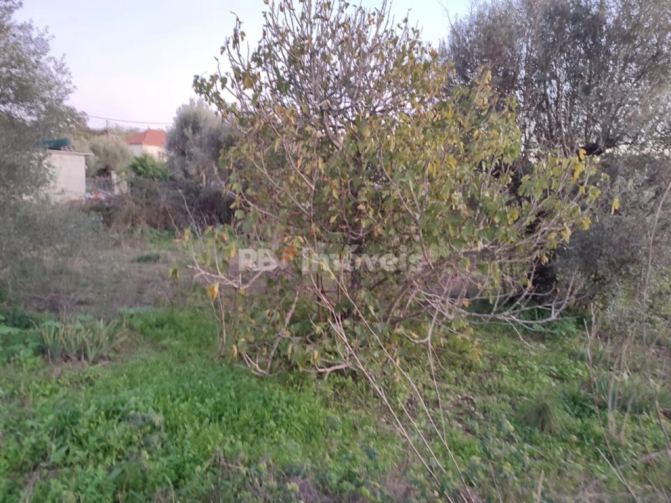 Terreno para Venda em Além da Ribeira e Pedreira Foto 8