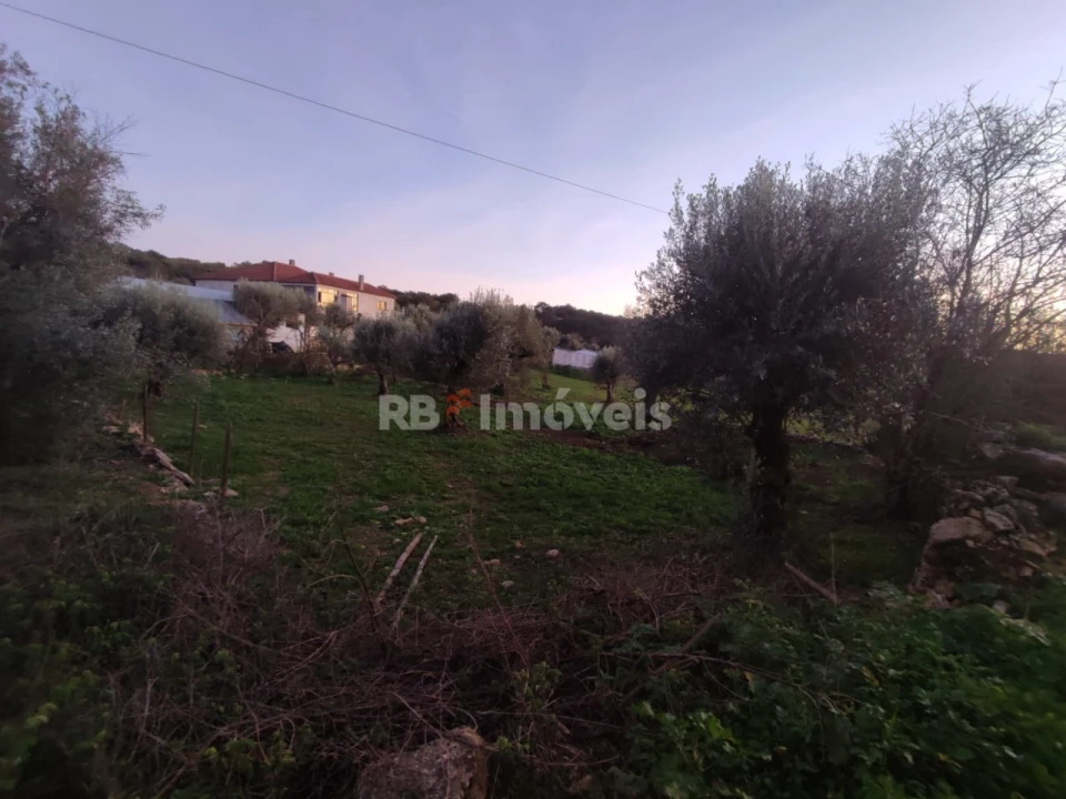 Terreno para Venda em Além da Ribeira e Pedreira Foto 14