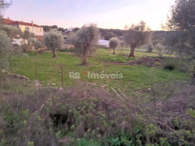 Terreno para Venda em Além da Ribeira e Pedreira Foto 7