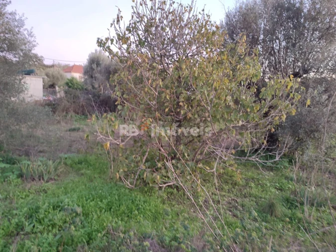 Terreno para Venda em Além da Ribeira e Pedreira Foto 8