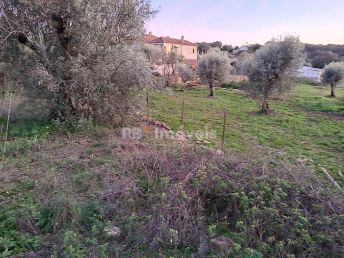 Terreno para Venda em Além da Ribeira e Pedreira Foto 5