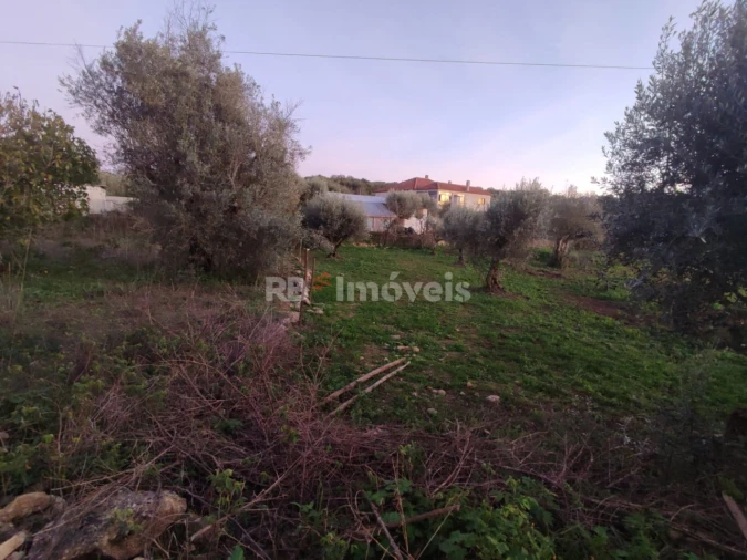 Terreno para Venda em Além da Ribeira e Pedreira Foto 10