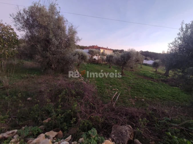 Terreno para Venda em Além da Ribeira e Pedreira Foto 13