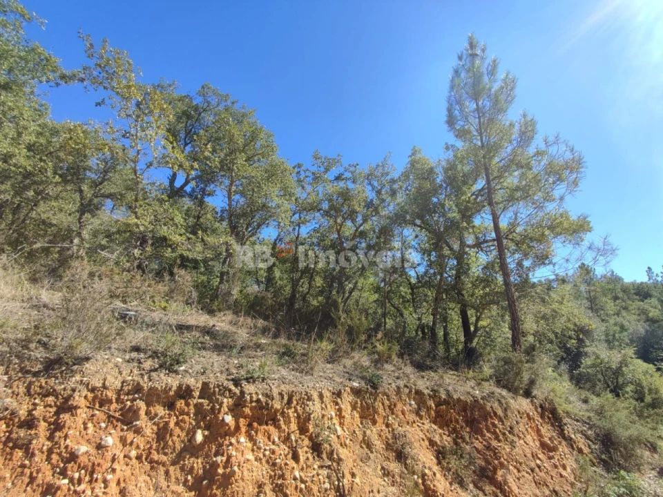 Terreno para Venda em Chãos Foto 4