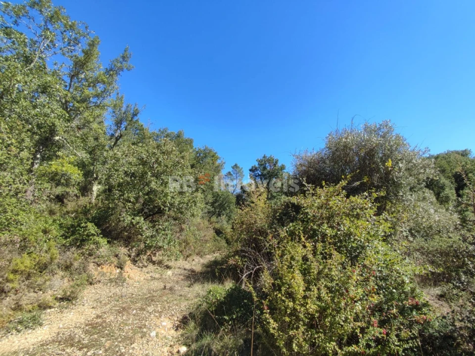 Terreno para Venda em Chãos Foto 11