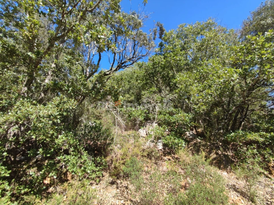 Terreno para Venda em Chãos Foto 13