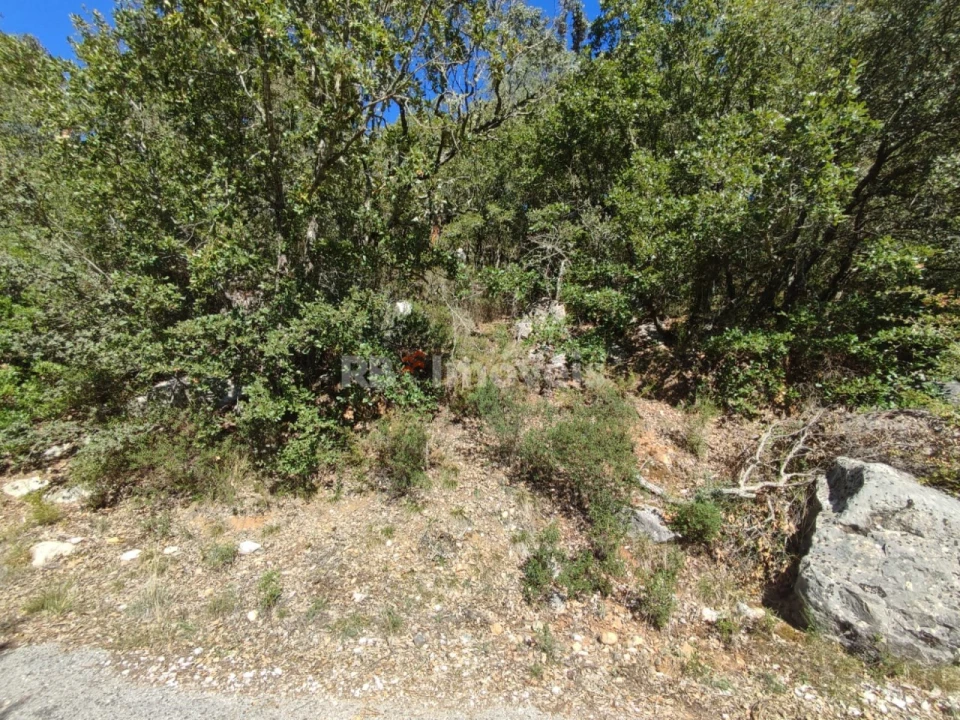 Terreno para Venda em Chãos Foto 15