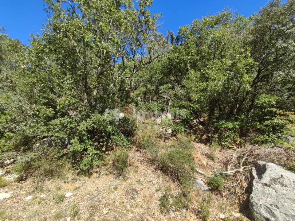 Terreno para Venda em Chãos Foto 16