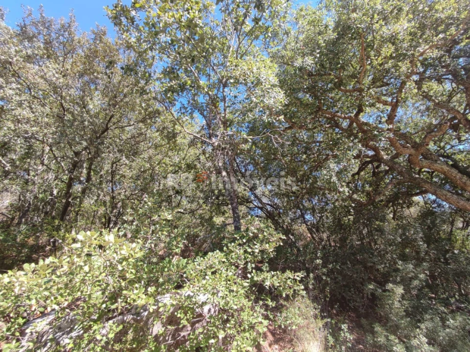 Terreno para Venda em Chãos Foto 3