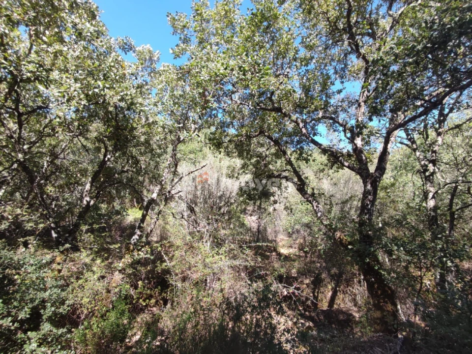 Terreno para Venda em Chãos Foto 21
