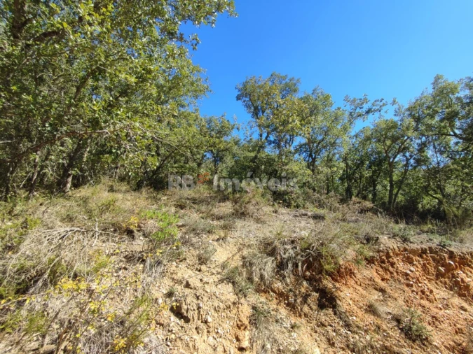 Terreno para Venda em Chãos Foto 8