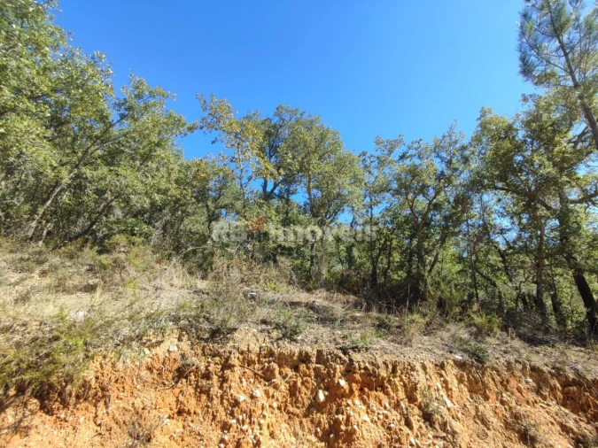 Terreno para Venda em Chãos Foto 6