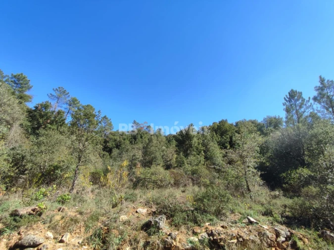 Terreno para Venda em Chãos Foto 12