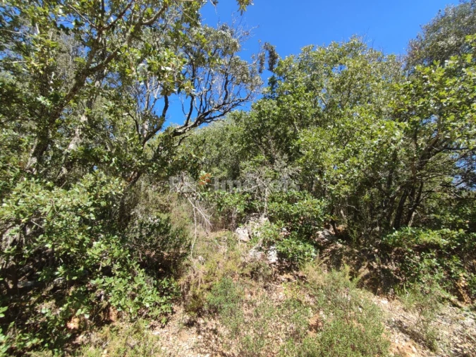 Terreno para Venda em Chãos Foto 14