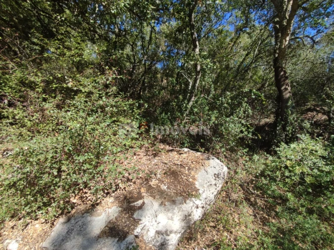 Terreno para Venda em Chãos Foto 19