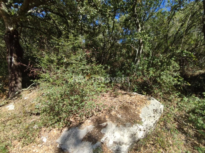 Terreno para Venda em Chãos Foto 20