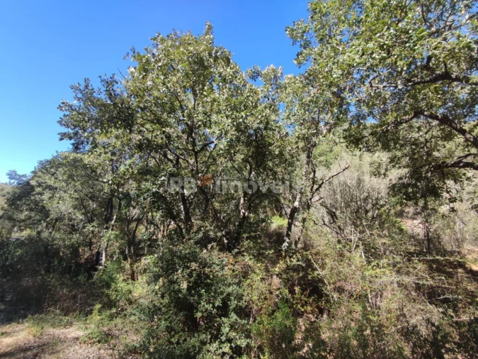 Terreno para Venda em Chãos Foto 22
