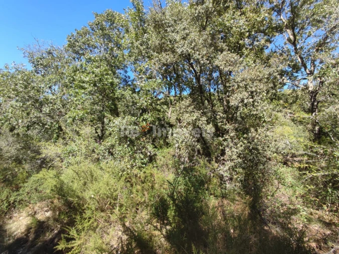 Terreno para Venda em Chãos Foto 24
