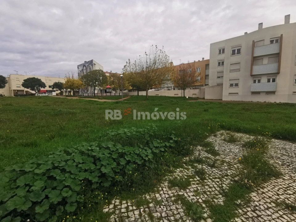 Terreno para Venda em Vila Nova da Barquinha Foto 3