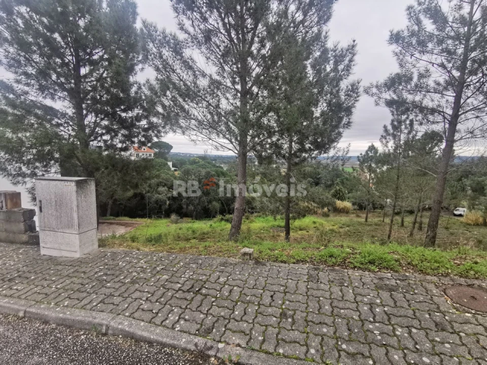 Terreno para Venda em Constancia Foto 4