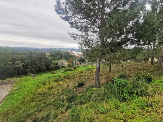 Terreno para Venda em Constancia Foto 2
