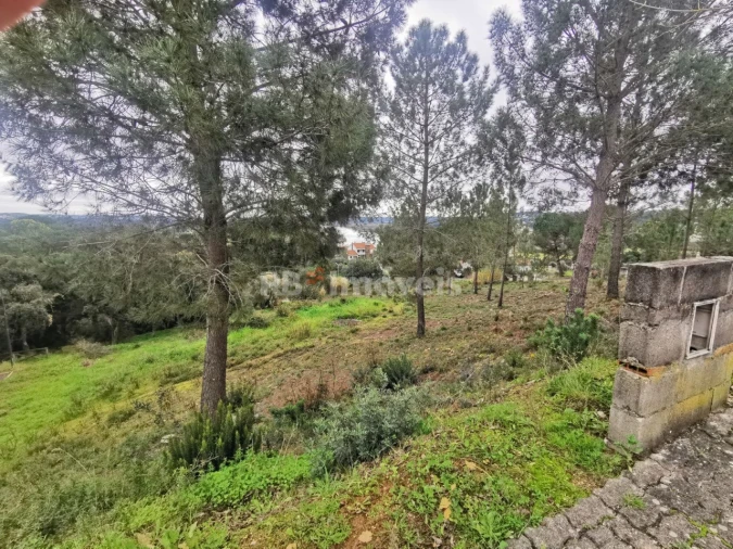 Terreno para Venda em Constancia Foto 6