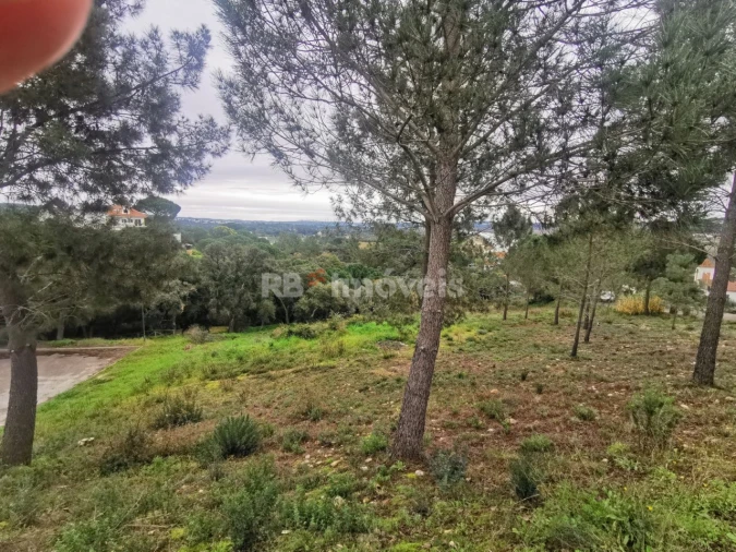 Terreno para Venda em Constancia Foto 3