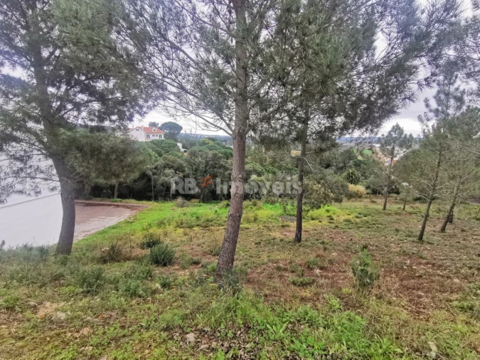 Terreno para Venda em Constancia Foto 1