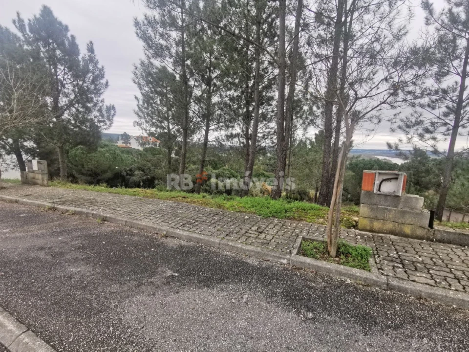 Terreno para Venda em Constancia Foto 3