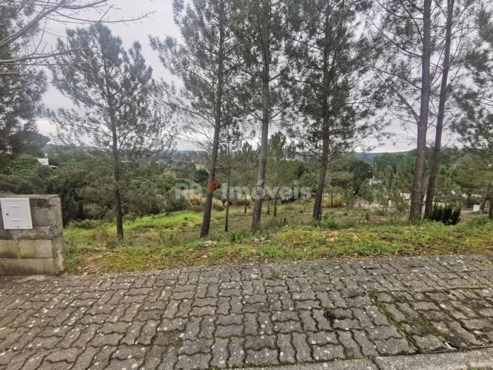 Terreno para Venda em Constancia Foto 4