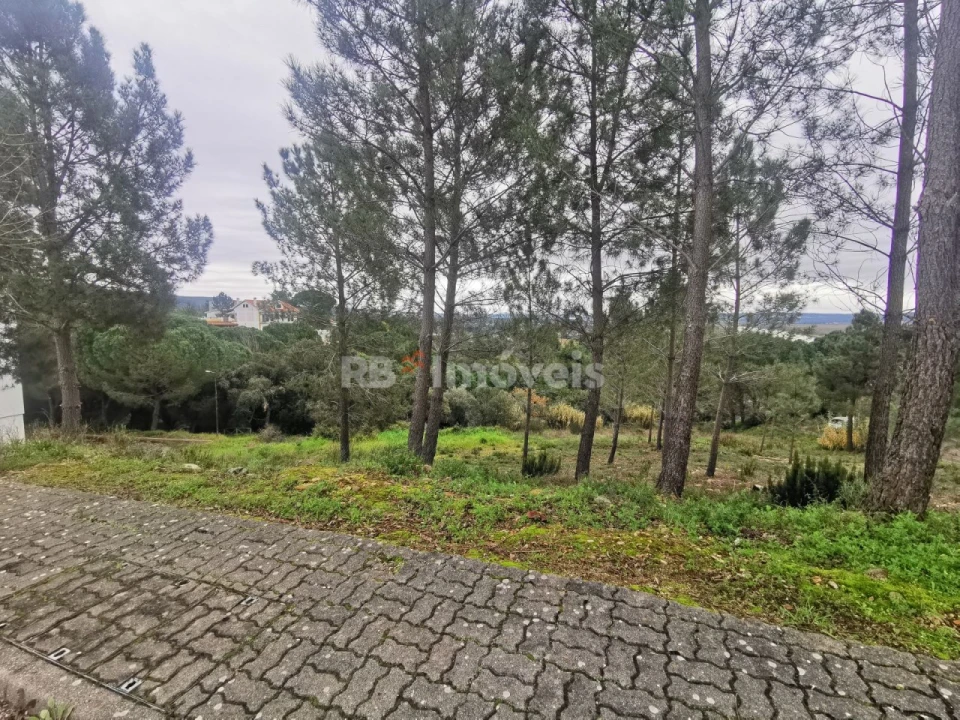 Terreno para Venda em Constancia Foto 5