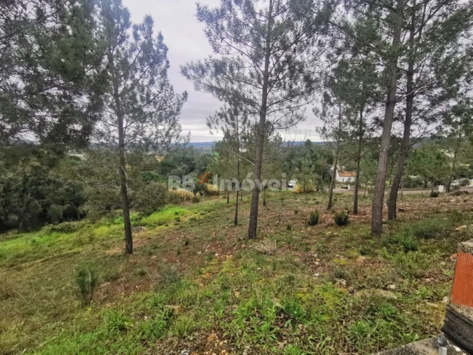 Terreno para Venda em Constancia Foto 2