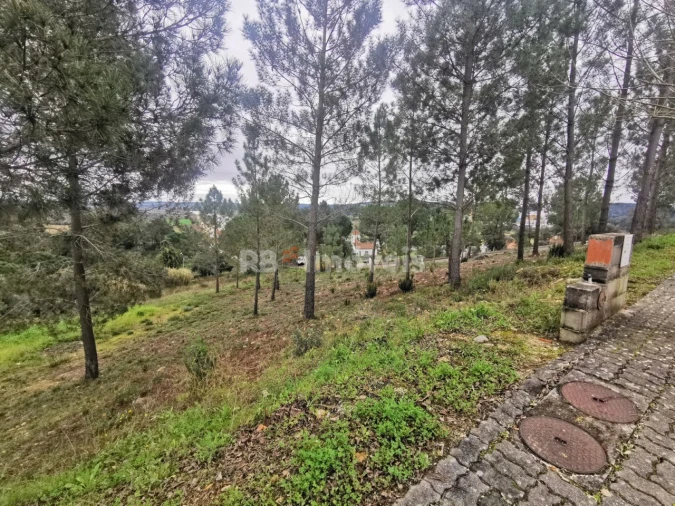 Terreno para Venda em Constancia Foto 1