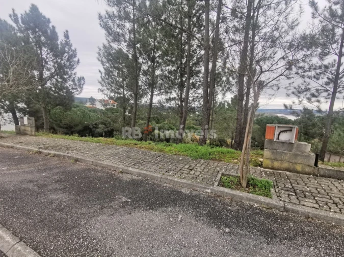 Terreno para Venda em Constancia Foto 3