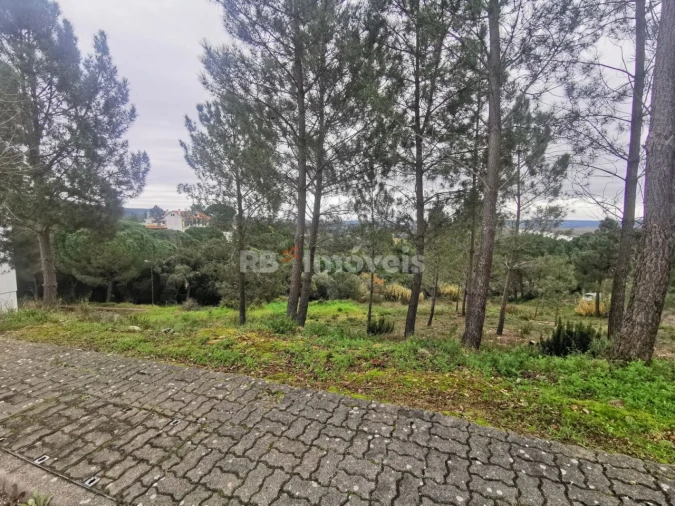 Terreno para Venda em Constancia Foto 5