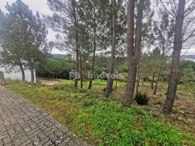 Terreno para Venda em Constancia Foto 6